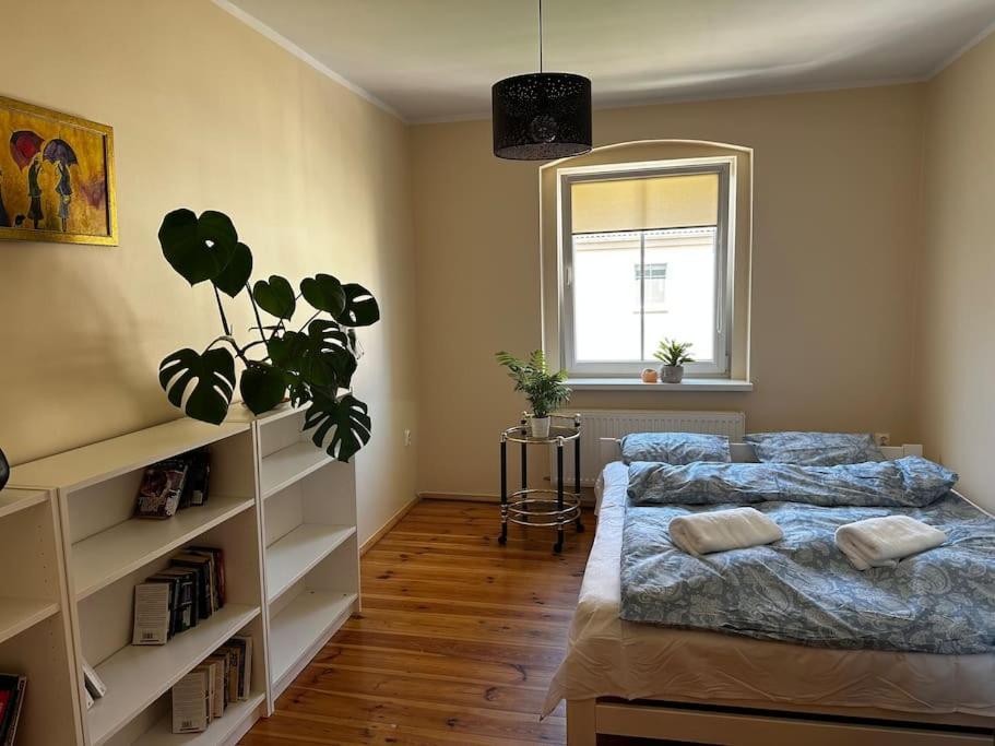 Apartment Jelenizen