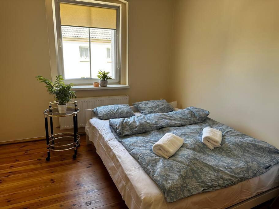 Apartment Jelenizen